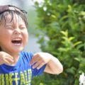 反抗期なのか性格なのか判別不能な6歳児（小学1年生）