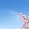 新小学3年生男子、ドキドキのクラス替え